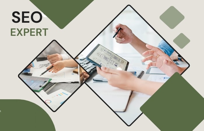 top seo agencies bangalore